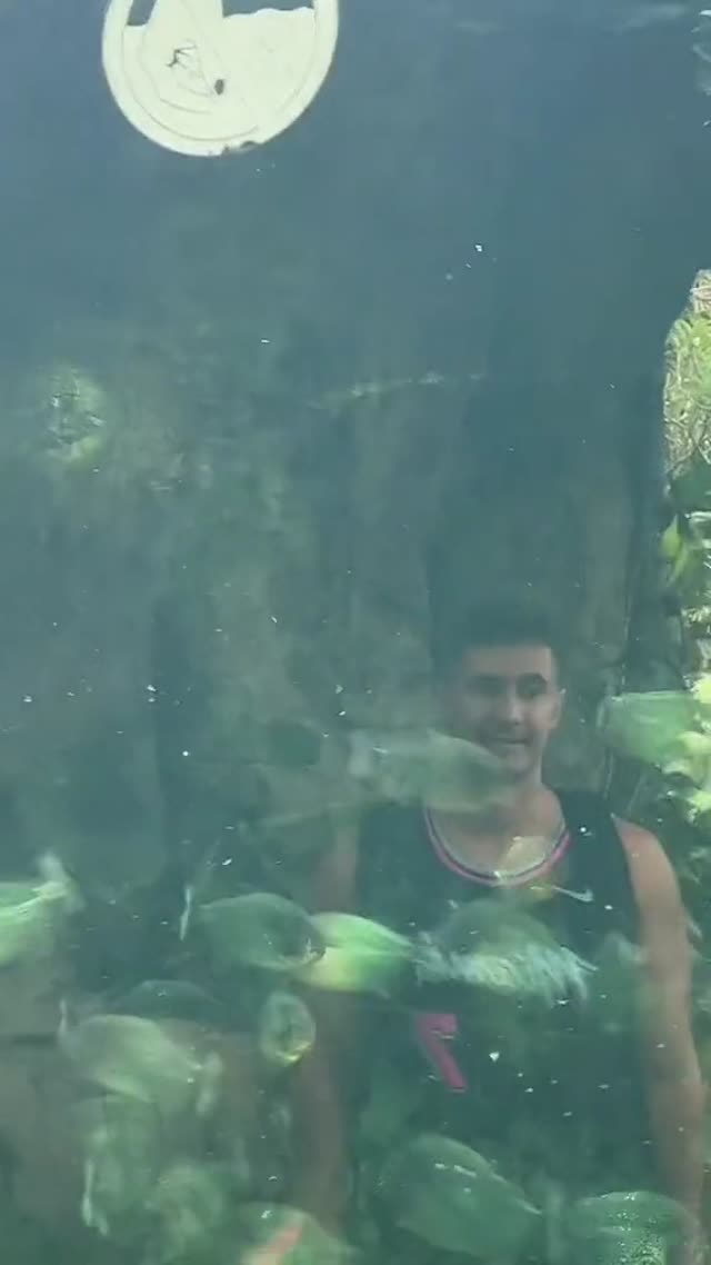 mikaelatesta video