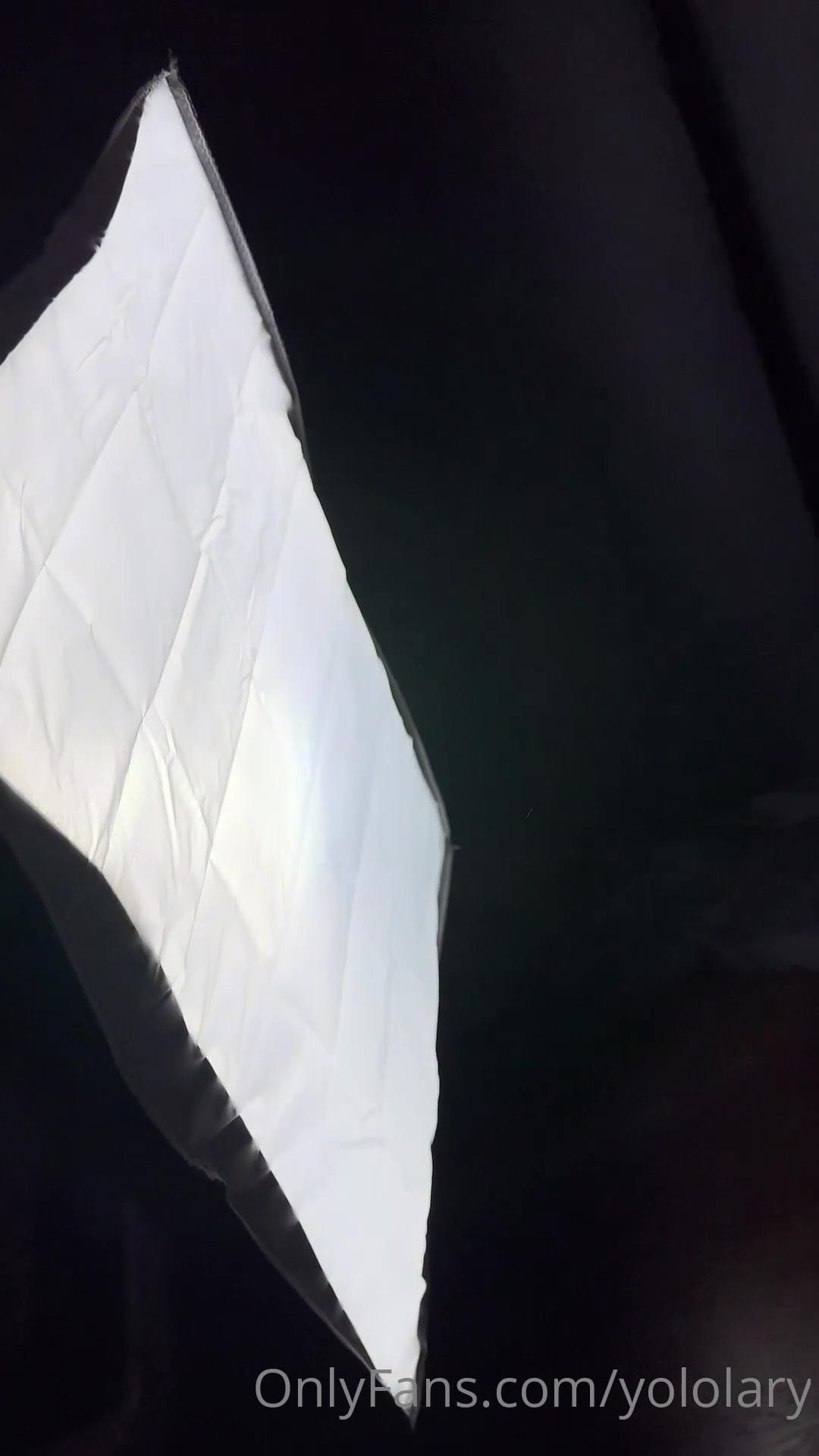 yololaryy video