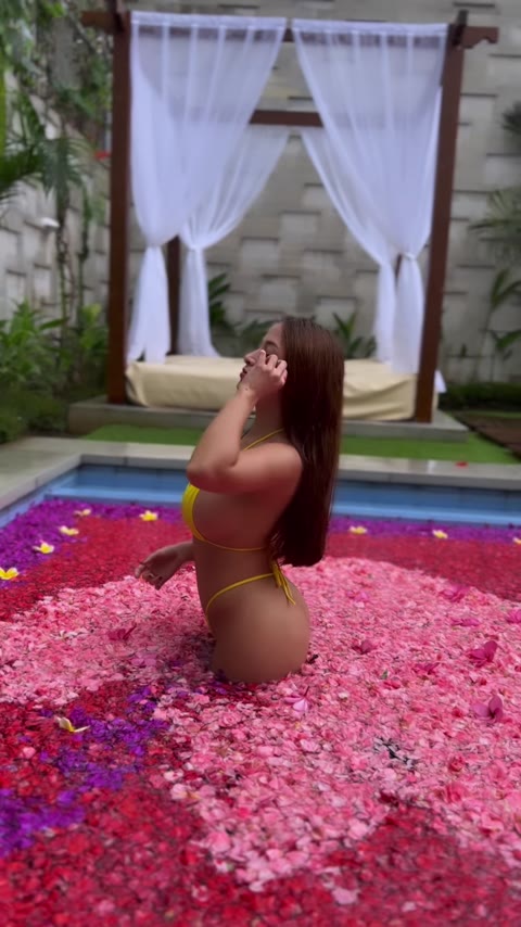 pandorakaaki video