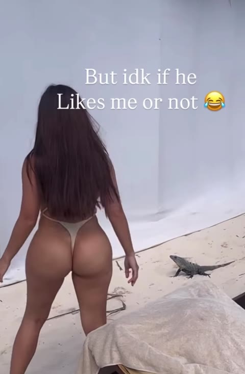 pandorakaaki video