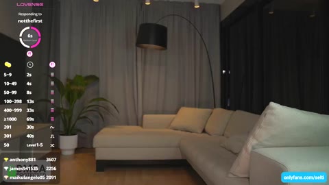 selti 動画