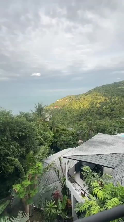 yoshibaby vidéo