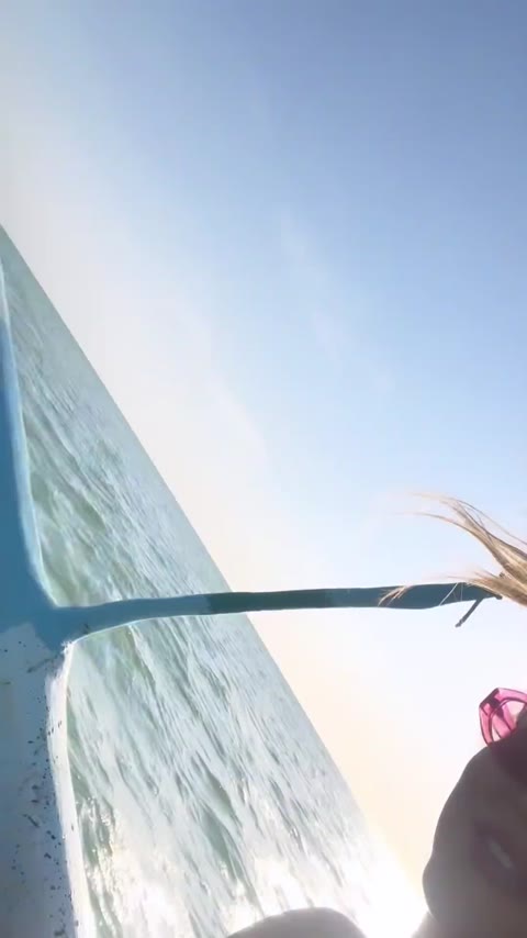 demirose vidéo