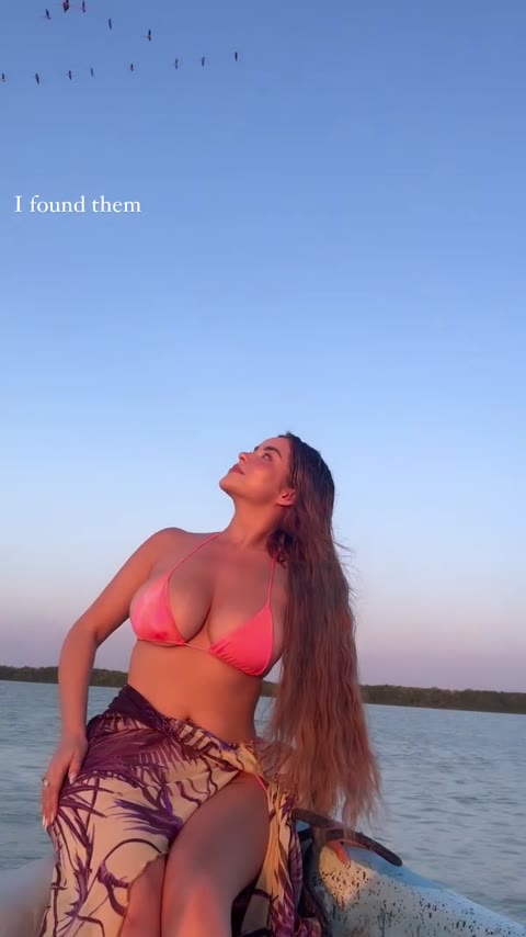 demirose Video